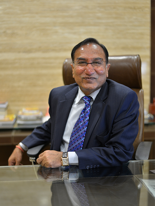 Mr. L.N. Goel